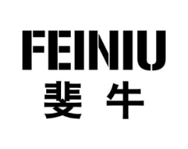 斐牛商标原图 第09类科学仪器