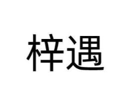 梓遇商标原图 第09类科学仪器