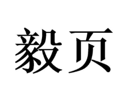 毅页商标原图 第09类科学仪器