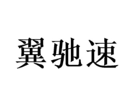 翼驰速商标原图 第09类科学仪器