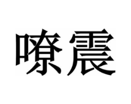 嘹震商标原图 第09类科学仪器