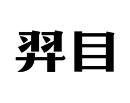 羿目商标原图 第09类科学仪器