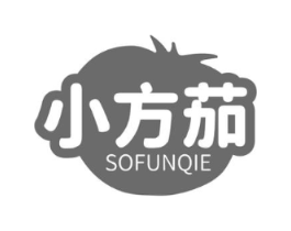 小方茄 SOFUNQIE商标原图 第09类科学仪器