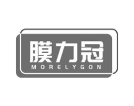 膜力冠 MORELYGON商标原图 第09类科学仪器