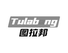 图拉邦商标原图 第09类科学仪器