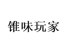锥味玩家商标原图 第09类科学仪器