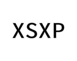XSXP商标原图 第09类科学仪器