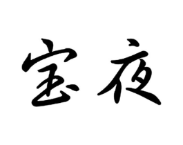 宝夜商标原图 第09类科学仪器
