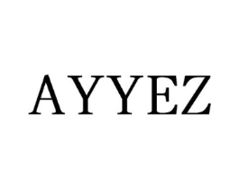 AYYEZ商标原图 第09类科学仪器