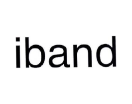 IBAND商标原图 第09类科学仪器