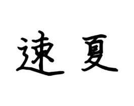 速夏商标原图 第09类科学仪器