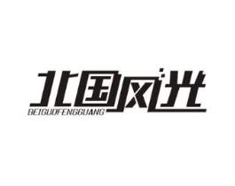 北国风光商标原图 第09类科学仪器
