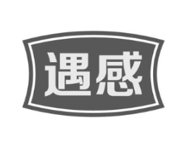 遇感商标原图 第09类科学仪器