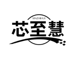 芯至慧商标原图 第09类科学仪器