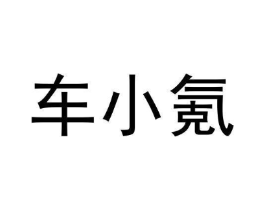 车小氪商标原图 第09类科学仪器