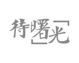 待曙光商标原图 第09类科学仪器