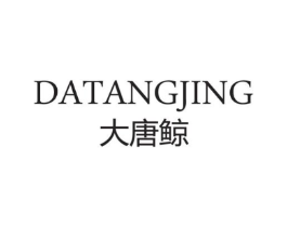 大唐鲸商标原图 第09类科学仪器