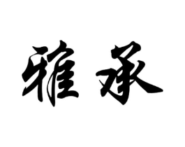 雅承商标原图 第09类科学仪器