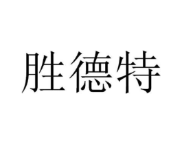 胜德特商标原图 第09类科学仪器