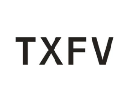 TXFV商标原图 第09类科学仪器