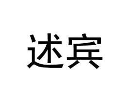 述宾商标原图 第09类科学仪器