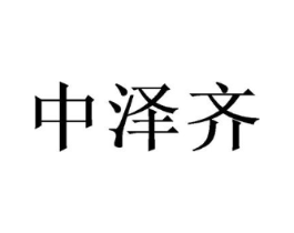 中泽齐商标原图 第09类科学仪器