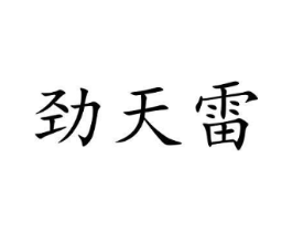 劲天雷商标原图 第09类科学仪器