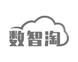 数智淘商标原图 第09类科学仪器