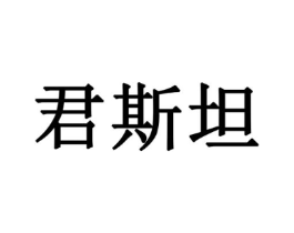 君斯坦商标原图 第09类科学仪器