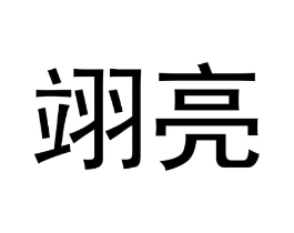 翊亮商标原图 第09类科学仪器