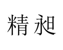 精昶商标原图 第09类科学仪器