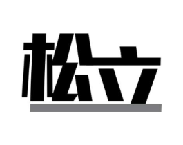 松立商标原图 第09类科学仪器