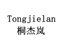 桐杰岚商标原图 第09类科学仪器
