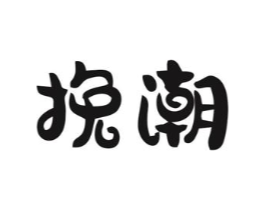 挽潮商标原图 第09类科学仪器