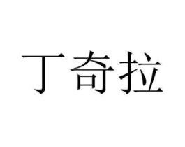 丁奇拉商标原图 第09类科学仪器