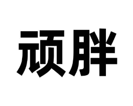 顽胖商标原图 第09类科学仪器
