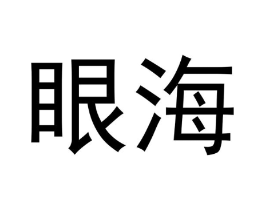 眼海商标原图 第09类科学仪器