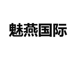 魅燕国际商标原图 第09类科学仪器
