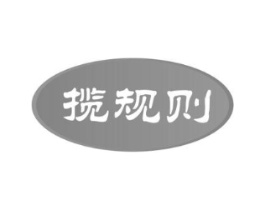 揽规则商标原图 第09类科学仪器