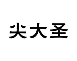 尖大圣商标原图 第09类科学仪器