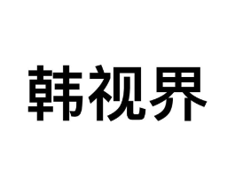 韩视界商标原图 第09类科学仪器
