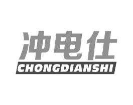 冲电仕商标原图 第09类科学仪器