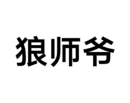 狼师爷商标原图 第09类科学仪器