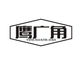鹰广角商标原图 第09类科学仪器