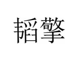 商标原图