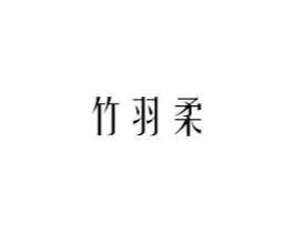 竹羽柔商标原图 第09类科学仪器