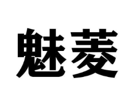 魅菱商标原图 第09类科学仪器