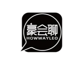 豪会聊 HOWWAYLEO商标原图 第09类科学仪器