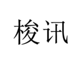 梭讯商标原图 第09类科学仪器