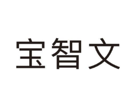 宝智文商标原图 第09类科学仪器
